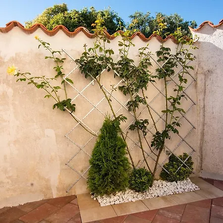 Apartament Teuta - A And A Sea View